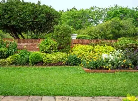 landscaping services Belville